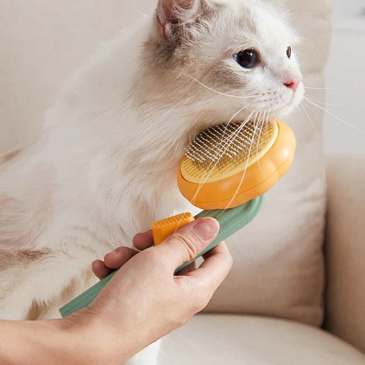 Pumpkin Brush Pet Deshedder